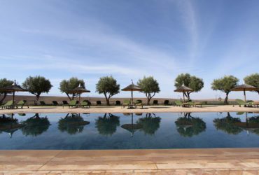 Pool in Marrakech with loungers and trees