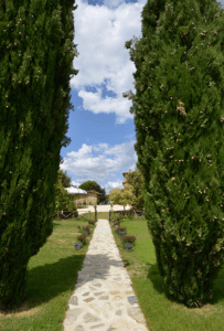 Cypress view to pool Locanda Cugnanello